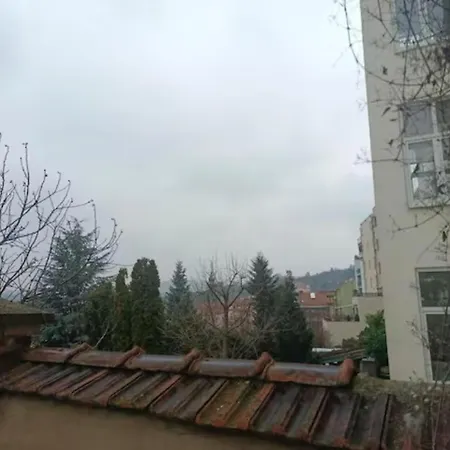 Historický Se Zahradou V Centru Brna Appartamento