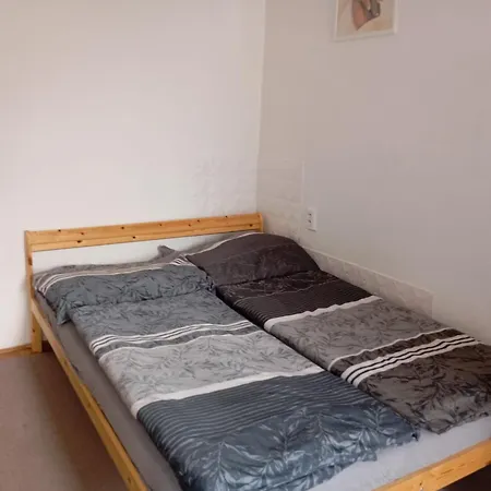 Historický Se Zahradou V Centru Brna Appartamento *