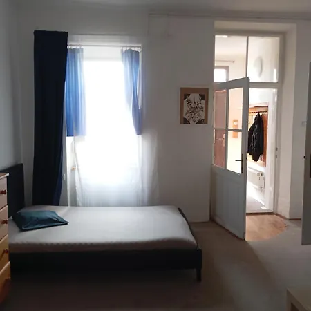 Historický Se Zahradou V Centru Brna Brno